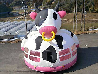 ������G�A�V��