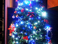 クリスマスツリー電飾付き レンタル