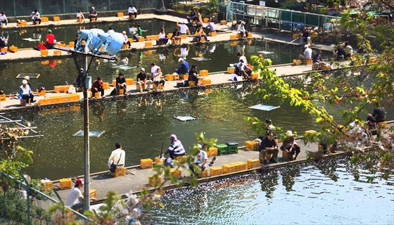 �t�B�b�V���O��� ���C���[�W