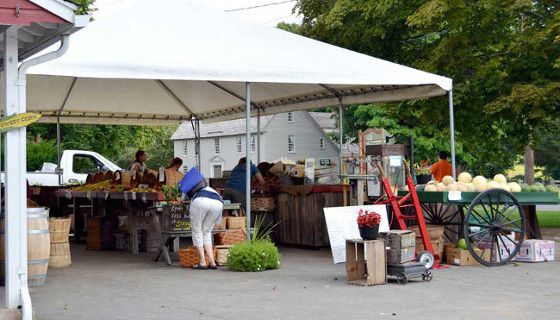 �R�}�[�V�����B�e��@�C���[�W