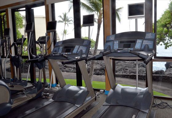 ���N�u�� �����^��