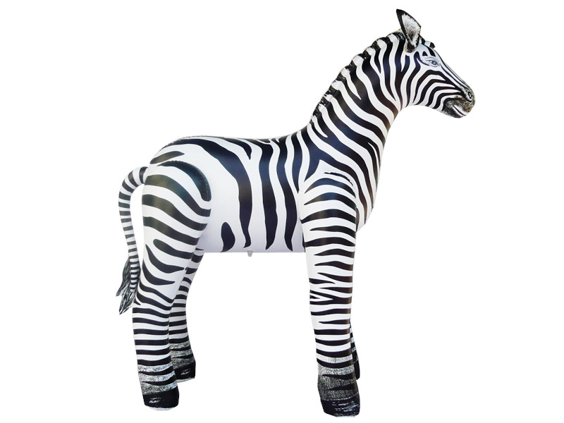 ディスプレイ用シマウマ レンタル