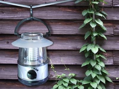 LED�����^��