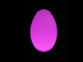 卵型ライト レンタル