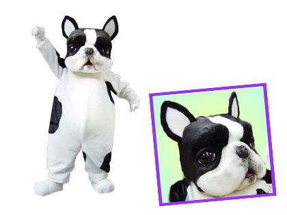 �{�X�g���e���A