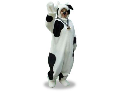 ��o���^�C�v