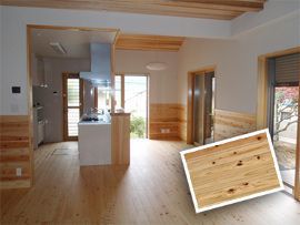 ���X�p����̉摜