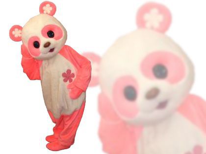 パンダ衣装(ピンク) レンタル