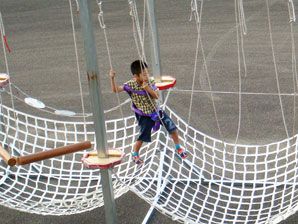 �A�X���`�b�N�V�� �ڍ�