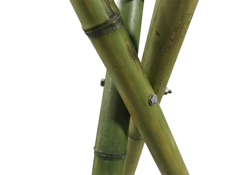 ���������߂�p���H �����^��