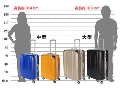 キャリーバッグ イメージ