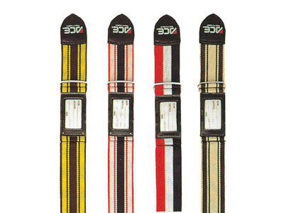 キャリーバッグベルト レンタル