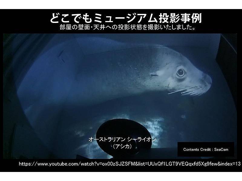 どこでもドーム レンタル