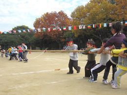 �̈�� �ڍ�