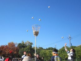 �̈�� ���